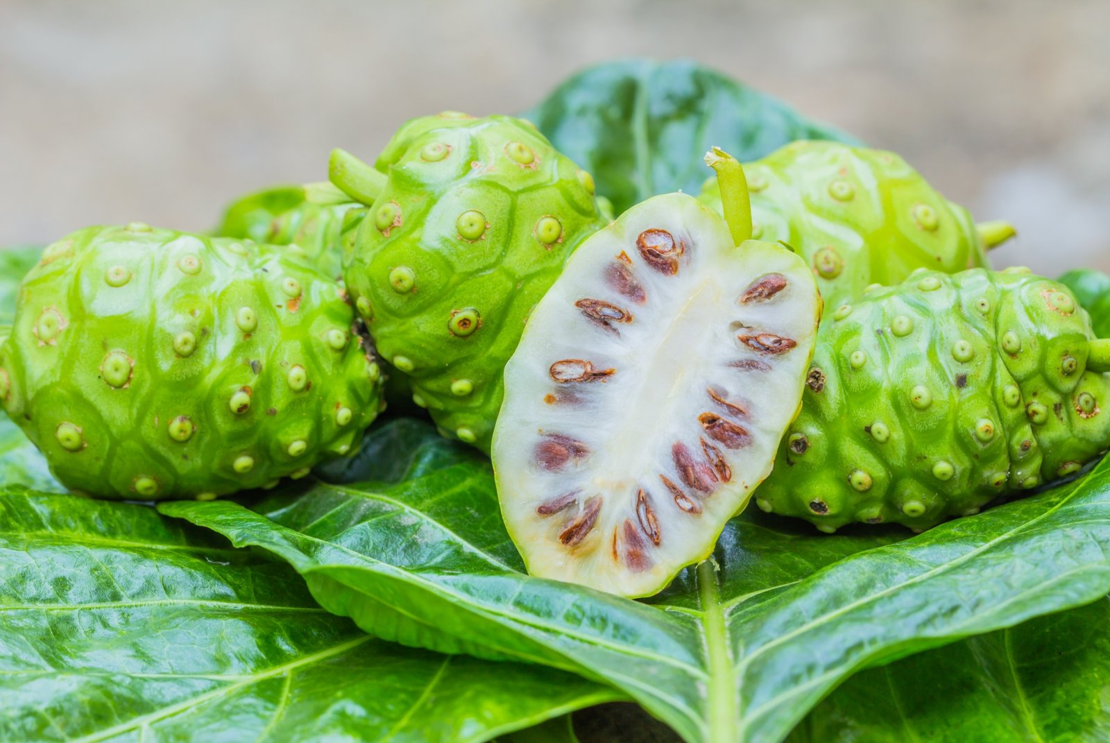 Dave's Noni & Wellness Products